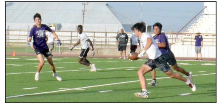wildcat 7 on 7 scrimmage tuesday evening