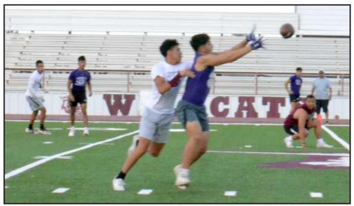 wildcat 7 on 7 scrimmage tuesday evening