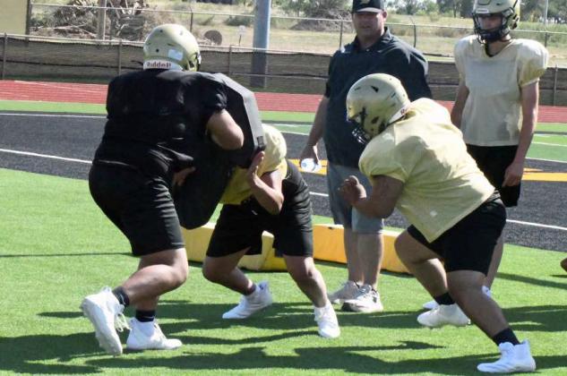 Hornets hard at work during two-a-days