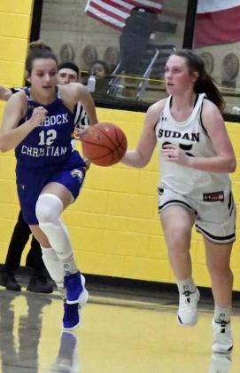 GRACYN SHULTZ - Sudan Nettes