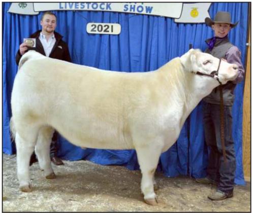 GRAND CHAMPION STEER—Tracen Angeley with his steer, and show judge, Kinder Harlow holding his award buckle. (Staff Photo by Joella Loworn)
