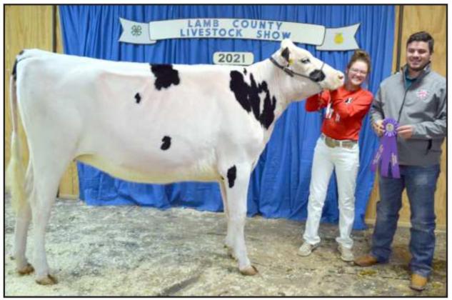 SUPREME DAIRY HEIFER and SHOWMANSHIP—Jacy Carpenter is shown with her Dairy Heifer and her Showmanship award, held by the show judge, Tyler Chupp. (Staff Photo by Joella Loworn)