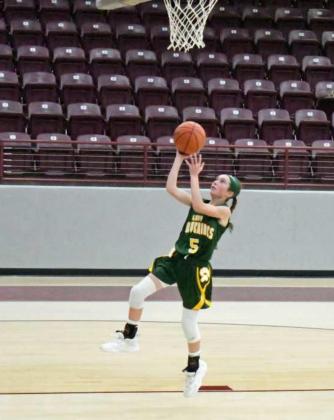 TAYTUM GOODMAN - Springlake-Earth Lady Wolverines