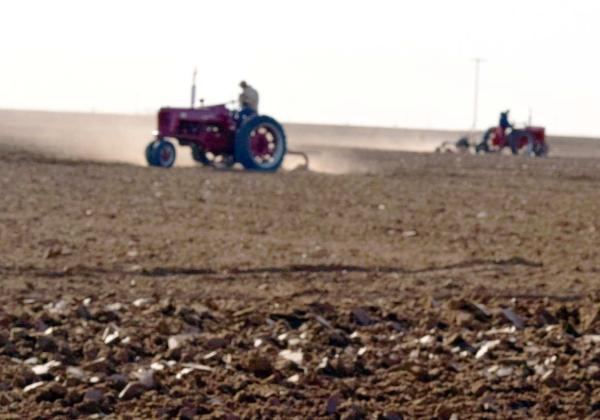 Grodan Graves ‘Plow Day’