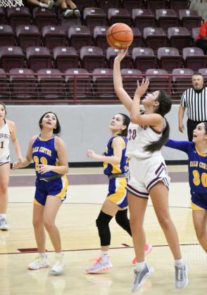LAdy Cats take down Lady Owls, 55-41