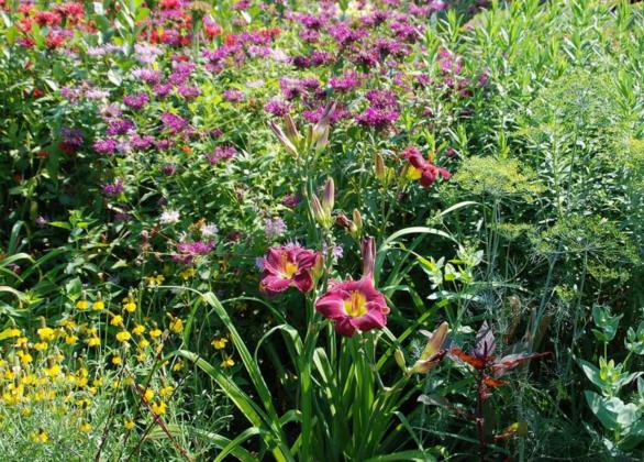 THIS PROPERLY CARED for garden continues to provide colorful summer blossoms. (Photo courtesy of MelindaMyers.com)