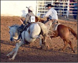 This Bronc Rider is staying in the saddle as his pickup man comes in to pick him off his ride at the WCRA Rodeo .