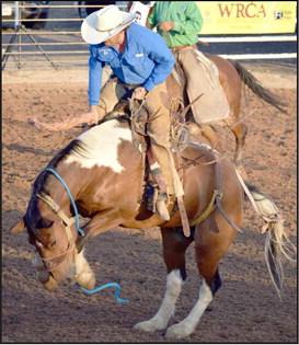 This Paint Bronc decided to put on the brakes which makes it a bit difficult for the cowboy to stay aboard at the WCRA Rodeo in Earth.
