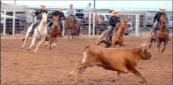 How many cowboys does it take to milk one little cow? Apparently, four cowboys are required during the Wild Cow Milking Event at the WCRA Rodeo in Earth, Texas on Friday, September 15, 2023.
