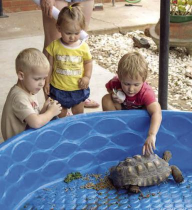Olton Area Library hosts Dino-themed fun for attendees
