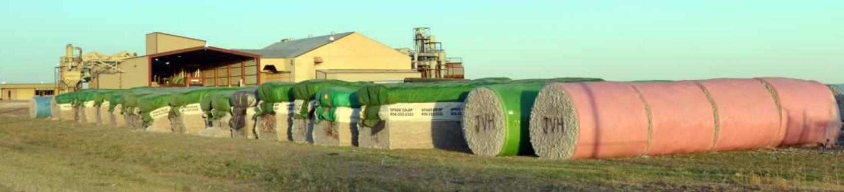 Four Lamb County Gins produce 4,470 bales of Cotton