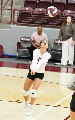 CALI SALDANA - Littlefield Lady Cats