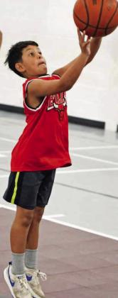 2026 wildcat basketball camp