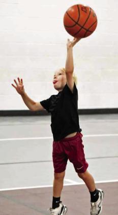 2026 wildcat basketball camp