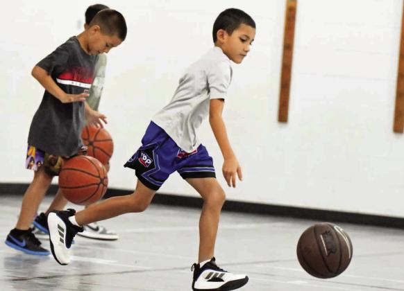 2026 wildcat basketball camp