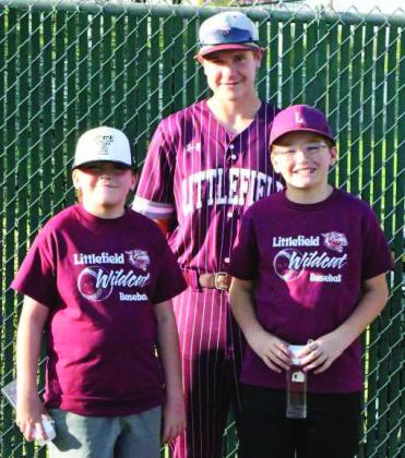WIldcat buddy 2026