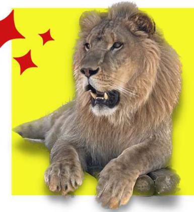 The Circus is Coming to Olton!