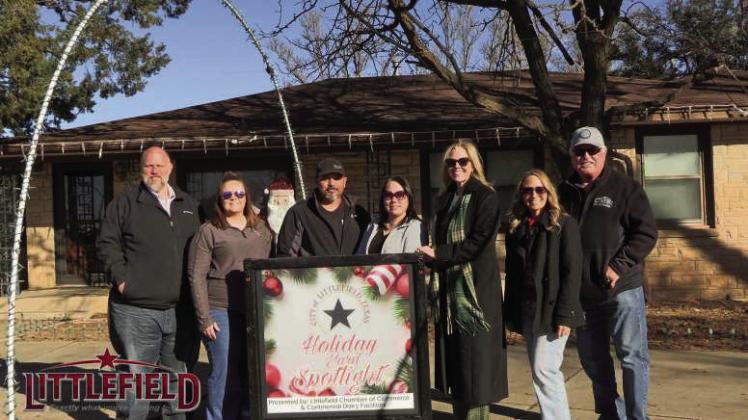 Holiday Yard Spotlight