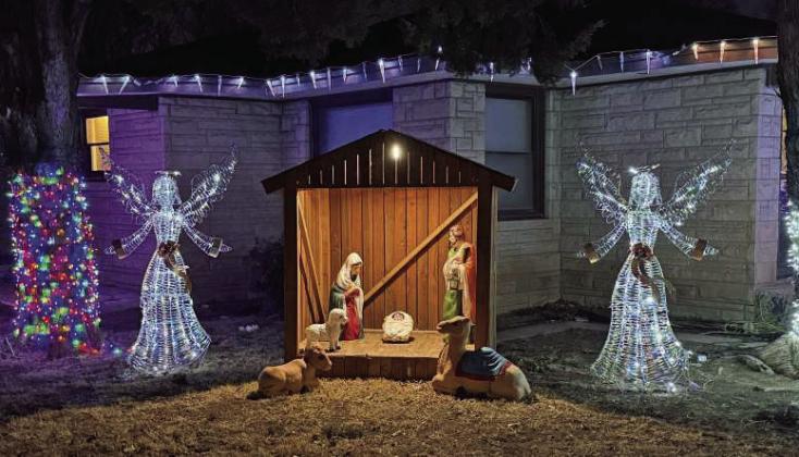 Holiday Yard Spotlight