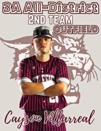 Wildcat Baseball All-District selections