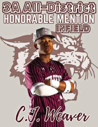Wildcat Baseball All-District selections