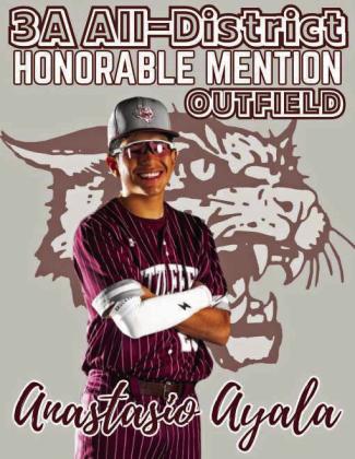 Wildcat Baseball All-District selections