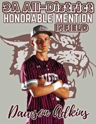 Wildcat Baseball All-District selections