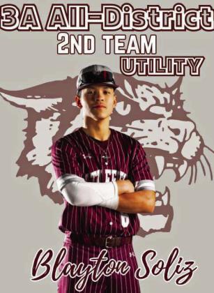 Wildcat Baseball All-District selections