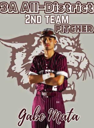Wildcat Baseball All-District selections