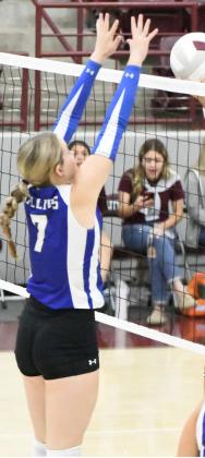 TARYN SMITH - Olton Fillies