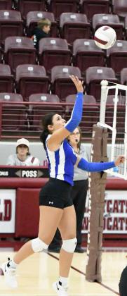 DENISSE ALVARADO - Olton Fillies