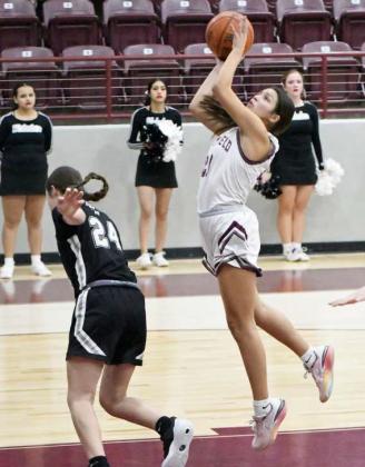 ARI CASTILLO - Littlefield Lady Cats