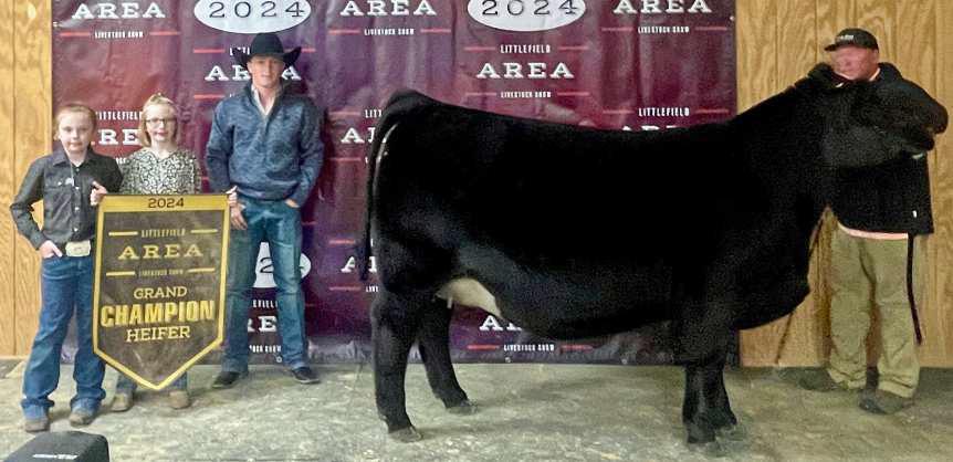 Callee Albus of Littlefield 4-H won Grand Champion Heifer at the Littlefield Area Junior Livestock Show on Thursday at the Lamb County Ag Center. Shown with Judge Walker Hemphill. Shown with Judge Hadley Albracht. (Submitted Photo)
