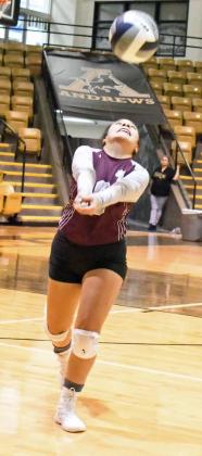 JULIE RODRIGUEZ - Littlefield Lady Cats