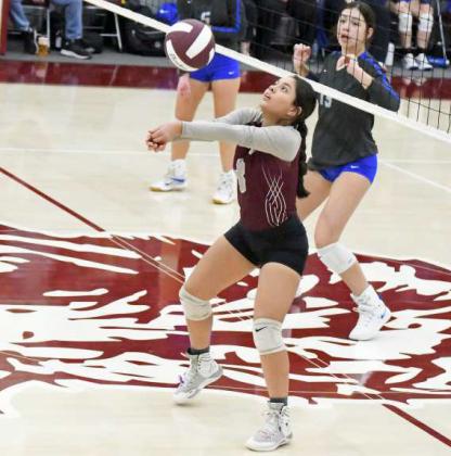 BRI VALDEZ - Littlefield Lady Cats