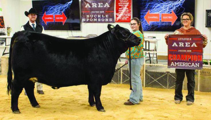 Rainey Hays of Littlefield won Reserve Grand Champion Heifer. (Photo by Madison Vidales)
