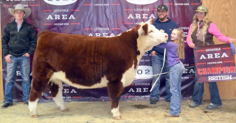 Littlefield Area Livestock Show Winners