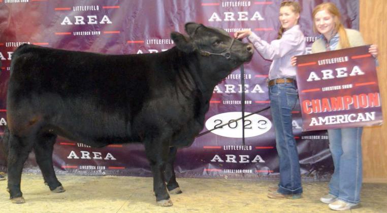Littlefield Area Livestock Show Winners