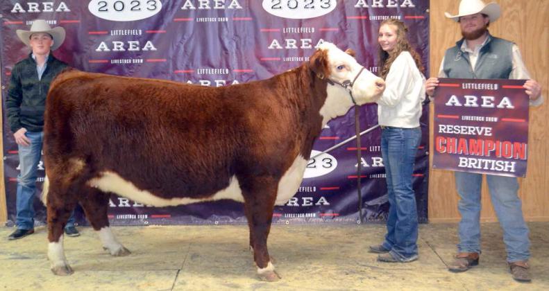 Littlefield Area Livestock Show Winners
