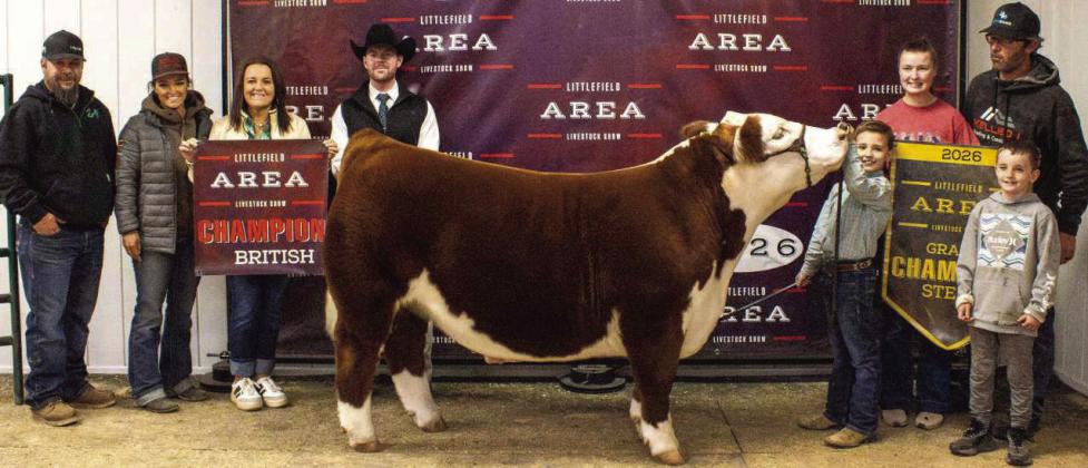 Statyn Carr of Sudan won Grand Champion Steer. (Photo by Madison Vidales)
