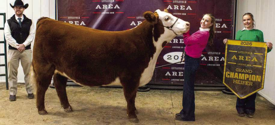 Sloane Beerwinkle of Springlake-Earth won Grand Champion Heifer. (Photo by Madison Vidales)