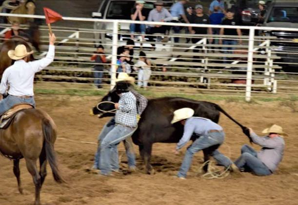 WRCA Earth Ranch Rodeo