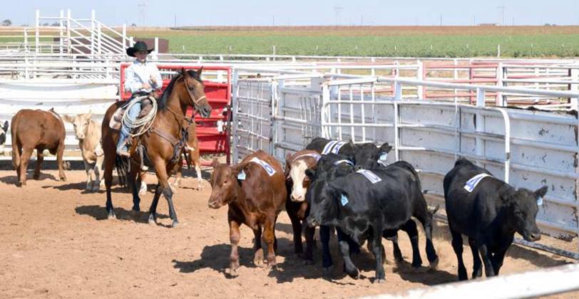 WRCA Earth Ranch Rodeo