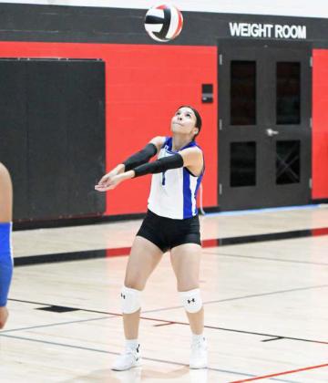 KAITLYN AVALOS - Olton Fillies