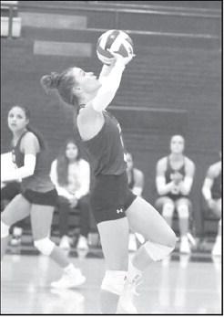 BRYNDLE RAY - Littlefield Lady Cats