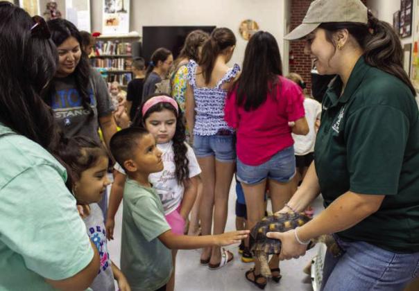 Attendees of the weekly Olton Area Library summer event receive a presentation from Calvin Rueda and Liz Bezner from Wild West Wildlife on June 17, 2026. Rueda and Bezner showcased rescued animals, including MaGee the skunk, Mr. Bones the possum, Polka Dot the snake and Mr. Turner the turtle. (Photos by Madison Vidales)
