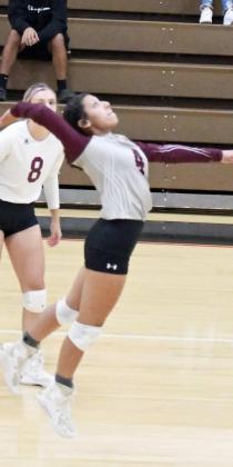 EMILY CHAMPION - Littlefield Lady Cats