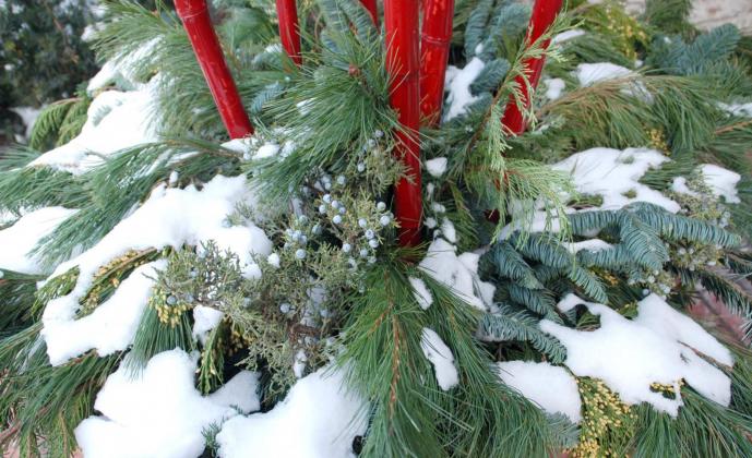 WINTER CONTAINER GARDENS brighten up the landscape all season long. (Photo credit: MelindaMyers.com)