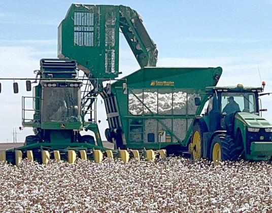 SUDAN, Photo courtesy of Plains Cotton Growers