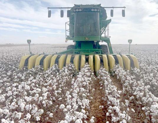 EARTH, Photo courtesy of Plains Cotton Growers